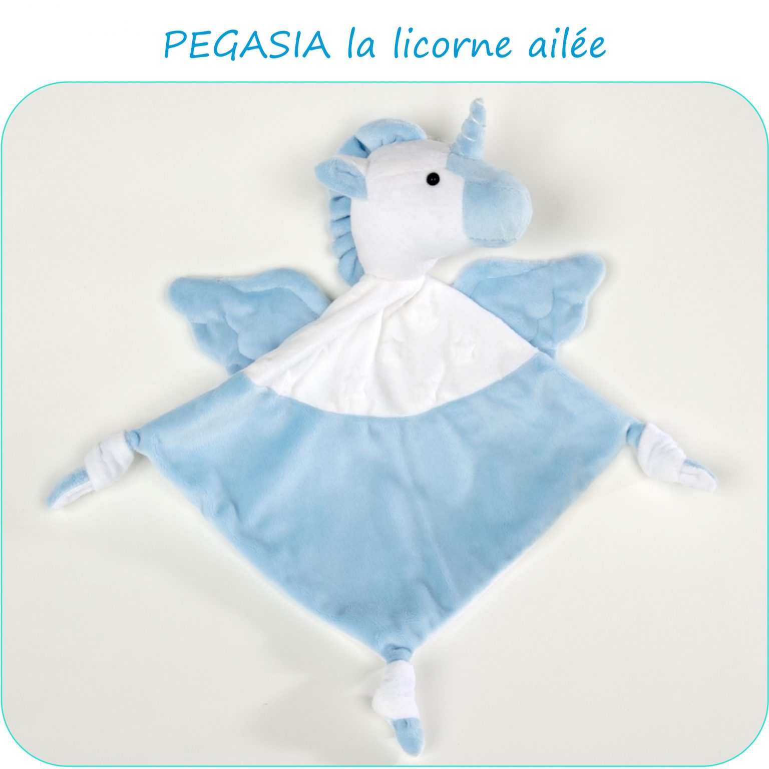 PEGASIA-PresentationSite_PetitsDom