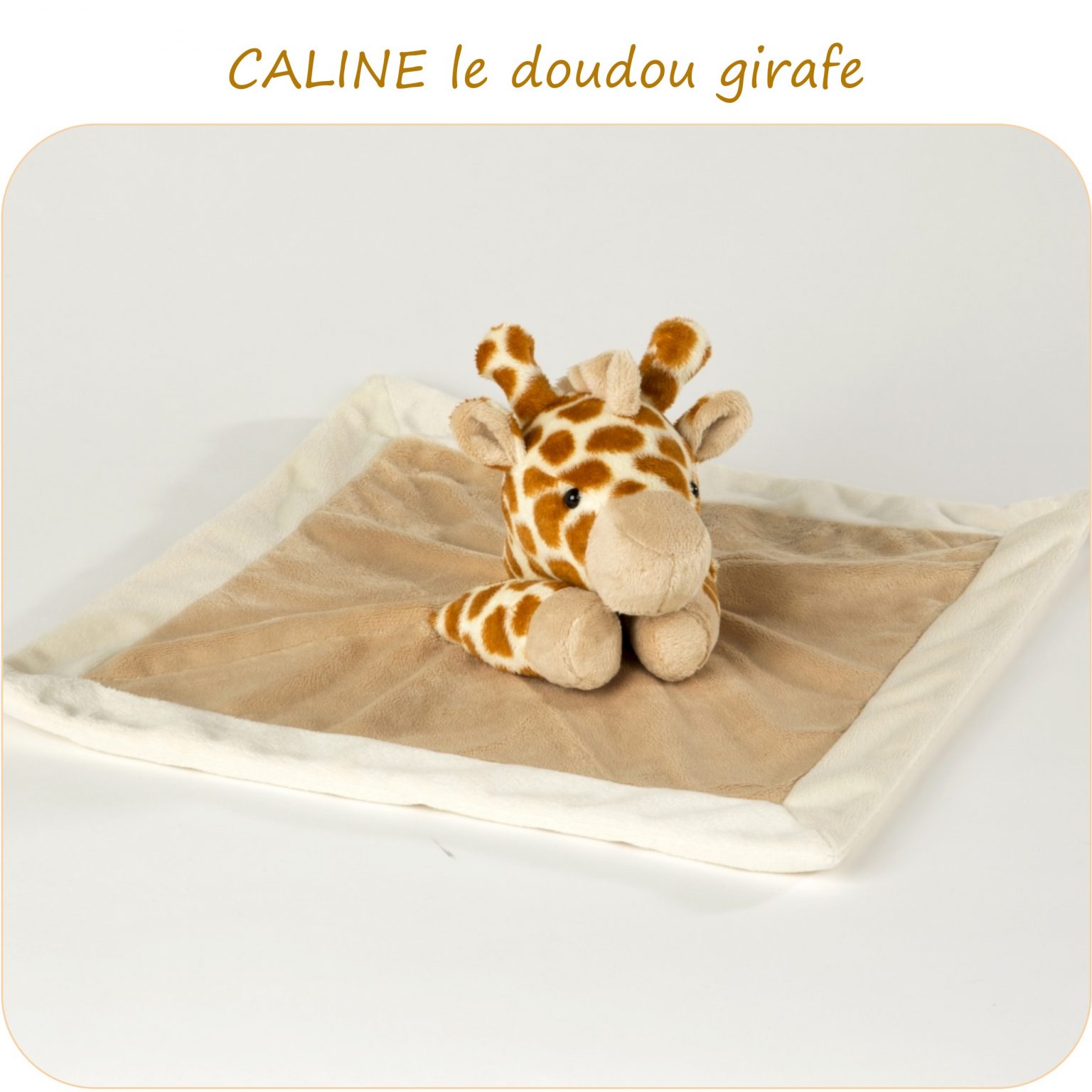 CALINE-PresentationSite_PetitsDom