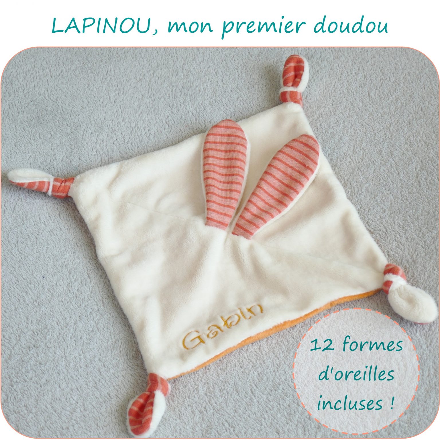 LAPINOU-PresentationSiteBonus_PetitsDom
